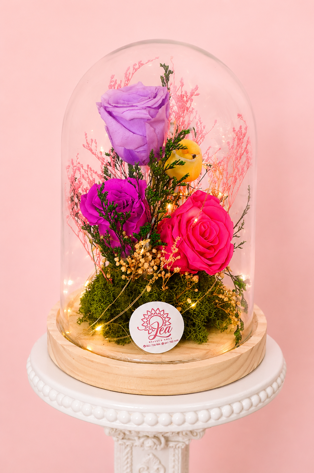 Rosa Eterna con Luz